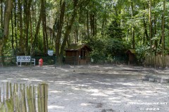 Birgits-Tiergarten-Streichelzoo-und-Parkanlage-in-Rechtsupweg-19.7.2023-14