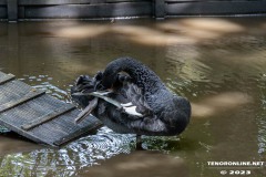 Birgits-Tiergarten-Streichelzoo-und-Parkanlage-in-Rechtsupweg-19.7.2023-27