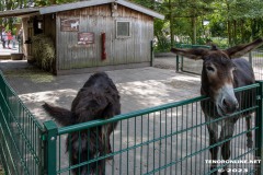 Birgits-Tiergarten-Streichelzoo-und-Parkanlage-in-Rechtsupweg-19.7.2023-30