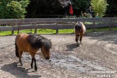 Birgits-Tiergarten-Streichelzoo-und-Parkanlage-in-Rechtsupweg-19.7.2023-53