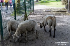 Birgits-Tiergarten-Streichelzoo-und-Parkanlage-in-Rechtsupweg-19.7.2023-78