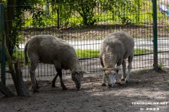 Birgits-Tiergarten-Streichelzoo-und-Parkanlage-in-Rechtsupweg-19.7.2023-79