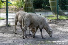 Birgits-Tiergarten-Streichelzoo-und-Parkanlage-in-Rechtsupweg-19.7.2023-81