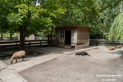 Birgits-Tiergarten-Streichelzoo-und-Parkanlage-in-Rechtsupweg-19.7.2023-86