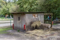 Birgits-Tiergarten-Streichelzoo-und-Parkanlage-in-Rechtsupweg-19.7.2023-97