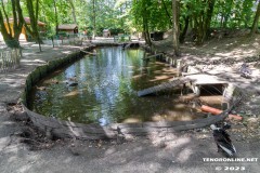 Birgits-Tiergarten-Streichelzoo-und-Parkanlage-in-Rechtsupweg-UW-19.7.2023-1