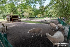 Birgits-Tiergarten-Streichelzoo-und-Parkanlage-in-Rechtsupweg-UW-19.7.2023-17