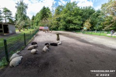 Birgits-Tiergarten-Streichelzoo-und-Parkanlage-in-Rechtsupweg-UW-19.7.2023-18