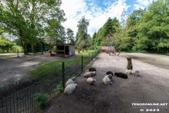 Birgits-Tiergarten-Streichelzoo-und-Parkanlage-in-Rechtsupweg-UW-19.7.2023-19