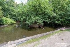 Birgits-Tiergarten-Streichelzoo-und-Parkanlage-in-Rechtsupweg-UW-19.7.2023-20