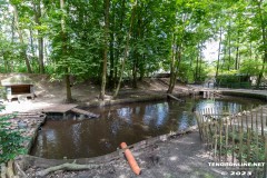 Birgits-Tiergarten-Streichelzoo-und-Parkanlage-in-Rechtsupweg-UW-19.7.2023-25