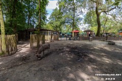 Birgits-Tiergarten-Streichelzoo-und-Parkanlage-in-Rechtsupweg-UW-19.7.2023-27