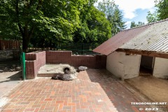 Stachelschweine-Birgits-Tiergarten-Streichelzoo-und-Parkanlage-in-Rechtsupweg-UW-19.7.2023-15