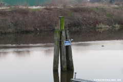 Poller Alter Hafen Burggraben Norden 27.2.19-1