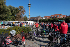 Charity-Auktion-Wallow-Nistkästen-Marktplatz-Norden-21.9.2019-23