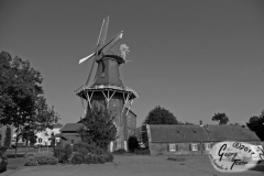 Deichmühle-8