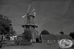 Deichmühle-9