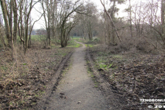 der alte Müllberg  Hoog Ses  Norden 17.2.19-11