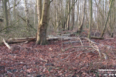 der alte Müllberg  Hoog Ses  Norden 17.2.19-17