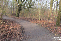 der alte Müllberg  Hoog Ses  Norden 17.2.19-18
