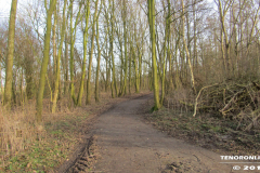 der alte Müllberg  Hoog Ses  Norden 17.2.19-24
