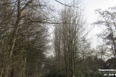der alte Müllberg  Hoog Ses  Norden 17.2.19-33