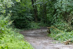 der-alte-Muellberg-Hoog-Ses-Stadt-Norden-14.7.2023-10