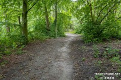 der-alte-Muellberg-Hoog-Ses-Stadt-Norden-14.7.2023-11