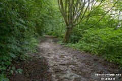 der-alte-Muellberg-Hoog-Ses-Stadt-Norden-14.7.2023-12