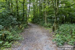 der-alte-Muellberg-Hoog-Ses-Stadt-Norden-14.7.2023-13