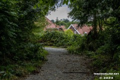 der-alte-Muellberg-Hoog-Ses-Stadt-Norden-14.7.2023-15