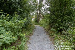 der-alte-Muellberg-Hoog-Ses-Stadt-Norden-14.7.2023-16