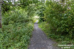 der-alte-Muellberg-Hoog-Ses-Stadt-Norden-14.7.2023-17