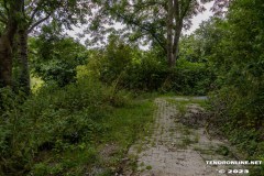 der-alte-Muellberg-Hoog-Ses-Stadt-Norden-14.7.2023-19