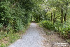 der-alte-Muellberg-Hoog-Ses-Stadt-Norden-14.7.2023-20
