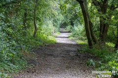 der-alte-Muellberg-Hoog-Ses-Stadt-Norden-14.7.2023-23