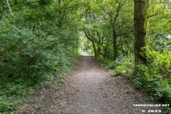 der-alte-Muellberg-Hoog-Ses-Stadt-Norden-14.7.2023-24