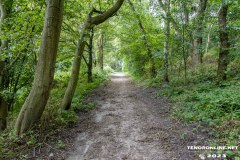 der-alte-Muellberg-Hoog-Ses-Stadt-Norden-14.7.2023-25