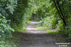 der-alte-Muellberg-Hoog-Ses-Stadt-Norden-14.7.2023-27
