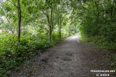 der-alte-Muellberg-Hoog-Ses-Stadt-Norden-14.7.2023-28