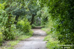 der-alte-Muellberg-Hoog-Ses-Stadt-Norden-14.7.2023-29