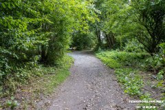 der-alte-Muellberg-Hoog-Ses-Stadt-Norden-14.7.2023-30