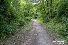 der-alte-Muellberg-Hoog-Ses-Stadt-Norden-14.7.2023-31