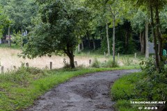 der-alte-Muellberg-Hoog-Ses-Stadt-Norden-14.7.2023-35