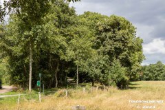 der-alte-Muellberg-Hoog-Ses-Stadt-Norden-14.7.2023-37