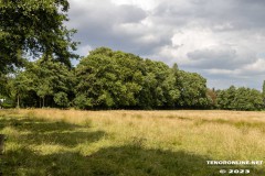 der-alte-Muellberg-Hoog-Ses-Stadt-Norden-14.7.2023-38