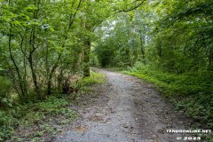 der-alte-Muellberg-Hoog-Ses-Stadt-Norden-14.7.2023-8