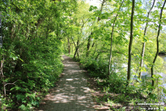 Derk-de-Haan-Padd-Norden-13.5.2019-1