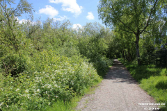 Derk-de-Haan-Padd-Norden-13.5.2019-13