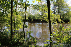 Derk-de-Haan-Padd-Norden-13.5.2019-2
